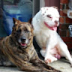 Meet your Posher, Scott